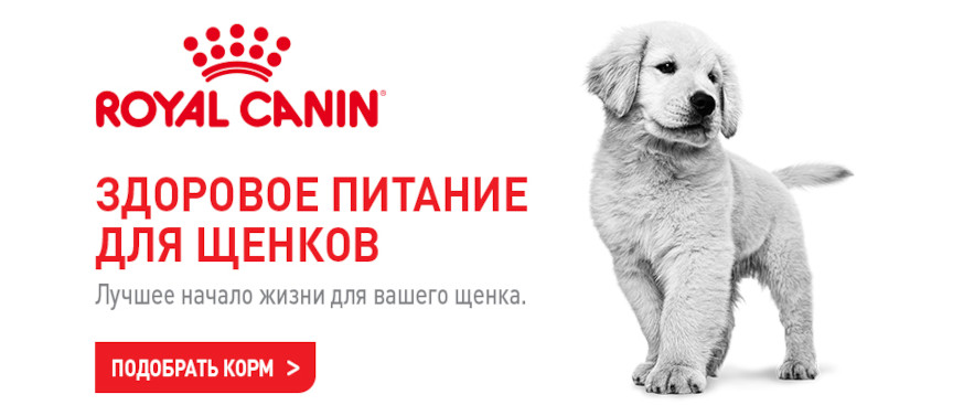 Корма для собак Royal Canin