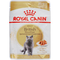 Консервы Royal Canin "British Shorthair Adult", для кошек британской породы в возрасте старше 12 месяцев, мелкие кусочки в соусе, 85 г