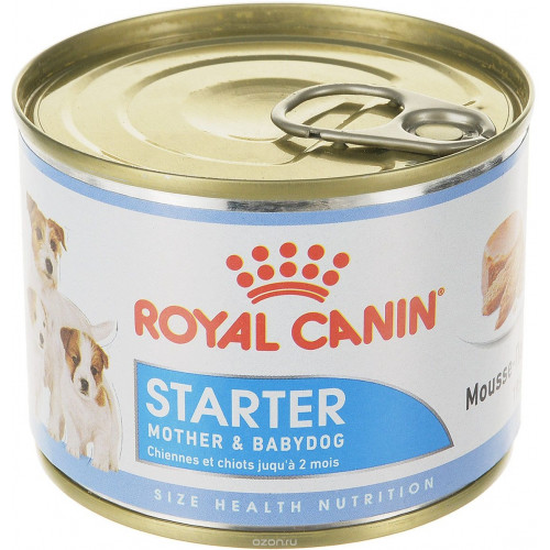 royal starter mousse