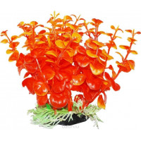 Растение для аквариума Уют "Бакопа оранжевая", высота 12 см, цвет оранжевый...
