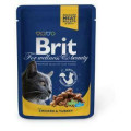Корм Для кошек Brit Chicken & Turkey, 100 г, курица и индейка, 24...