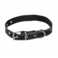 Ошейник (Каскад) кожаный щенячий шир. 25 мм, обхват шеи от 39 до 51 см... Ошейник (Каскад) кожаный щенячий шир. 25 мм, обхват шеи от 39 до 51 см...
